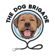 dog-brigade